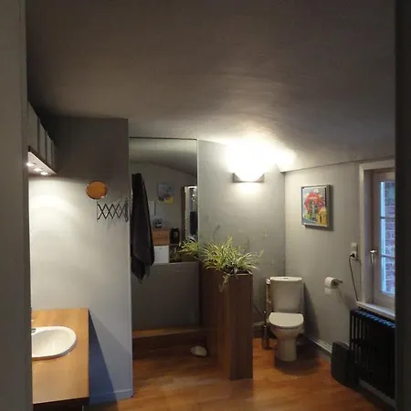 בית הארחה Manoir Le Louis Xxi 4*