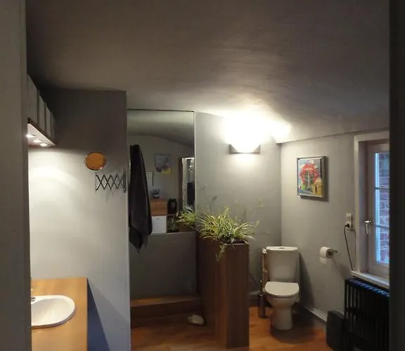 Konukevi Manoir Le Louis Xxi 4*